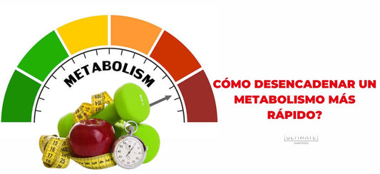 metabolismo
