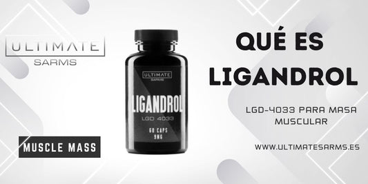 Qué es ligandrol LGD-4033