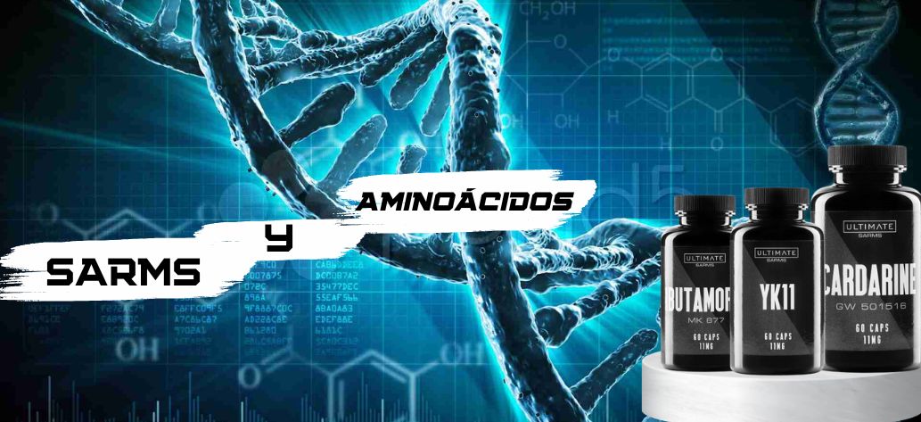 SARMs y aminoácidos