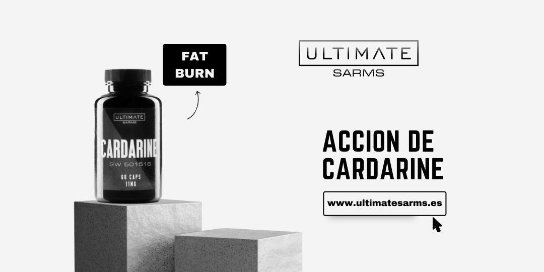Cardarine GW501516 SARMs – acción