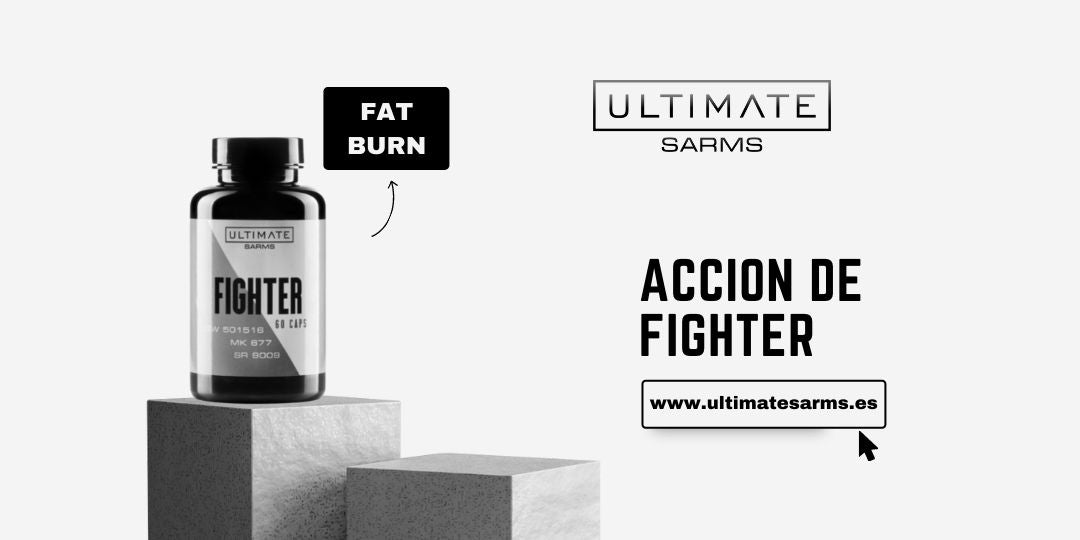 ¿Cómo funciona el Fighter?