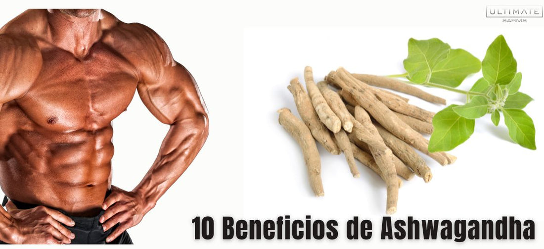 10 beneficios de Ashwagandha