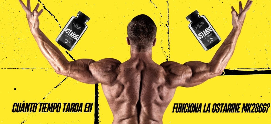 ¿Cuánto tiempo tarda el Ostarine en hacer efecto?
