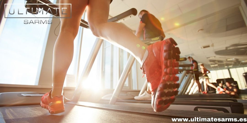 cardarine GW-501516 para quemar grasa 